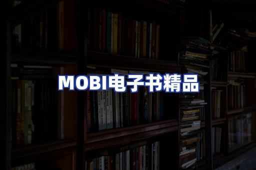 外文电子书产品